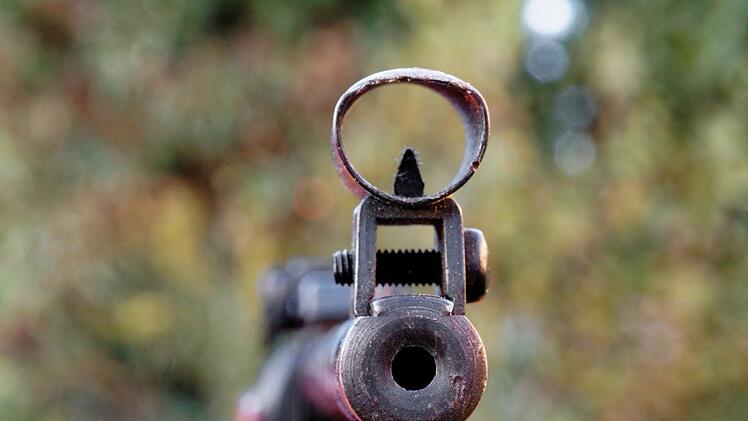 In der Bamberger Innenstadt hat ein Unbekannter mit einem Luftgewehr auf eine Katze geschossen. Symbolbild: pixabay.com/ Bru-nO