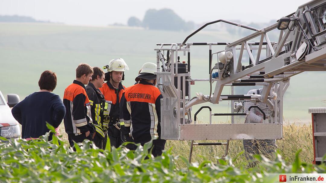Katze Molli löst Feuerwehreinsatz aus