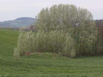 Unterhalb des Bezirksklinikums Obermain befindet sich in einer Senke ein unscheinbarer Hügel  - das sind die Reste einer mittelalterlichen Kleinburg, einer Motte. Die beiden Motten bei Kutzenberg werden in Band 2 der "Streifzüge durch Franken" beschrieben. Matthias Einwag