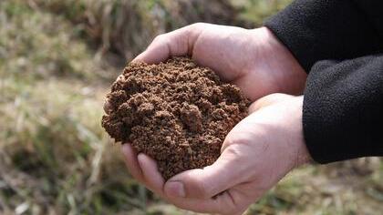 Lehm als Baustoff wird vor allem aufgrund seiner guten baubiologischen Eigenschaften geschätzt.