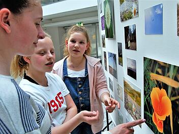Weil sie ihre Heimat mitgestalten wollen, haben (von links) Émilie (14) aus Steinach sowie Rosa (11) und Julika (11) aus Nüdlingen beim Fotoprojekt mitgemacht.  Foto: Sigismund von Dobschütz