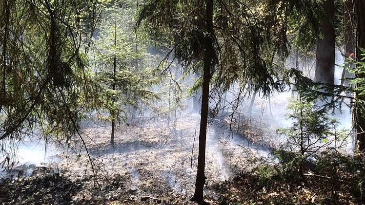 Zum Glück ist rund um Bad Kissingen bisher kein Rauch aus den Wäldern aufgestiegen.  Foto: News5 / Goppelt