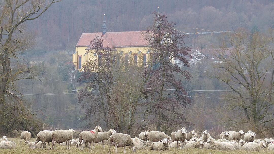 Die schönsten Fotos im November aus Bad Kissingen und Umgebung