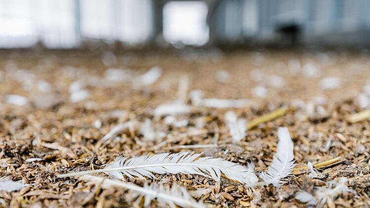 Foto: Marian Hamacher