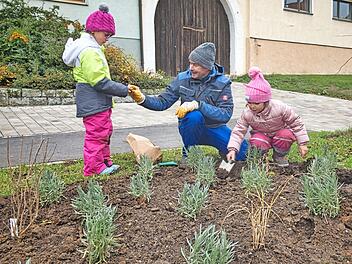 Roland Simon verteilte Blumenzwiebeln an Lotta, während Siham begeistert Pflanzlöcher gräbt. Zu Werke gingen die drei Gärtner im Blumenbeet vor dem Rathaus in Stettfeld.  Foto: Christian Ziegler