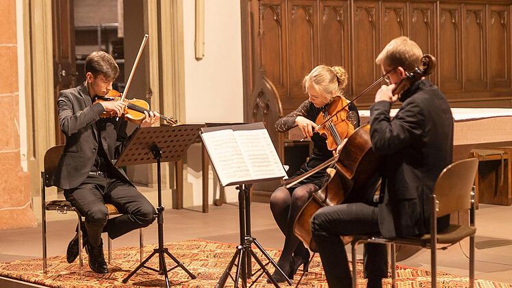 Das Trio Benjamin mit Johannes Rosenberg (Violine), Karolina Pawul (Viola) und Sebastian Mirow (Cello)  Foto: Barbara Bittner