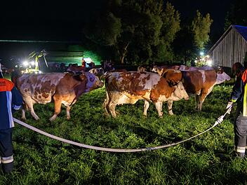 Bauernhof in der Oberpfalz in Flammen - Großeinsatz der Feuerwehr