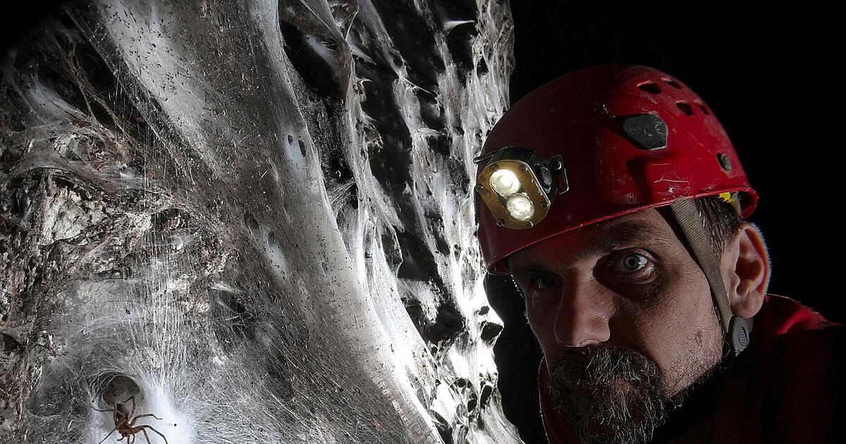 Griechenland-Gewaltiges-Spinnennetz-in-H-hle-entdeckt