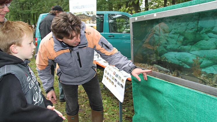 Thomas Speierl von der Fachberatung für Fischerei erklärt die Fischarten, die in der Steinach vorkommen.