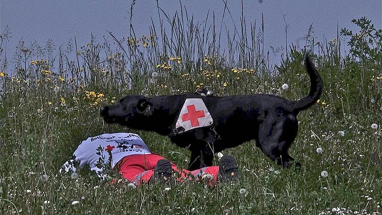 Blaulichttag in Hammelburg  Foto: Gerd Schaar