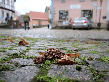 Einfach widerlich: Dieser Hundehaufen liegt mitten auf dem Anger. Überall in der Altstadt und an der Stadtmauer sind solche Hinterlassenschaften von Hunden zu finden. Thomas Malz