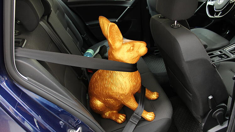 Vermisster Goldhase