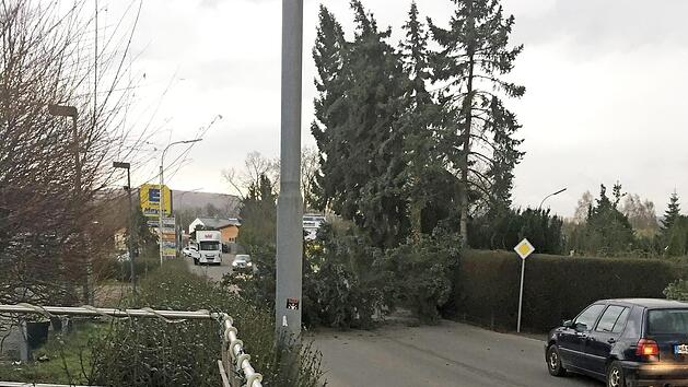 In der Unteren Stra&szlig;e in Zeil st&uuml;rzten B&auml;ume auf die Fahrbahn, die Verkehrsteilnehmer konnten aber rechzeitig anhalten, wie dieses Bild zeigt. Es wurde aufgenommen von Nguyen Dieu Linh, die gleich nebenan ein Restaurant betreibt und alles beobachten konnte.