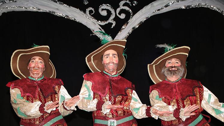 Prunksitzung 2019 in Stadtsteinach. Foto: Jürgen Gärtner