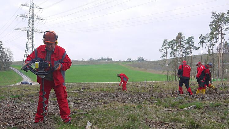 Das Team der Firma Klade bei der Pflanzmaßnahme in der Nähe von Rögen (Stadt Coburg). Foto: Berthold Köhler