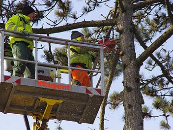 Kristof Wladyka (r.) und Jonathan Götschler arbeiten in über 20 Metern Höhe. Foto: Marco Meißner