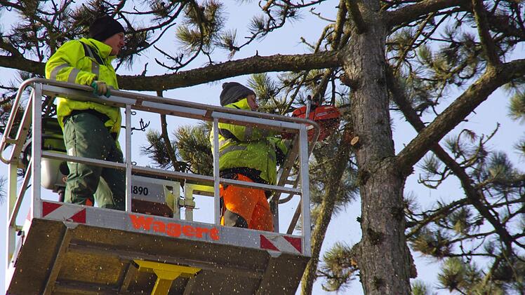 Kristof Wladyka (r.) und Jonathan Götschler arbeiten in über 20 Metern Höhe. Foto: Marco Meißner