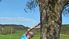 Birgit Schmitt zeigt die Flankenatmung am Baum.  Foto: K.- H. Hofmann