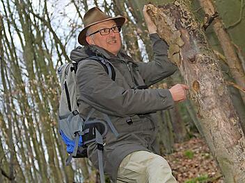 In ehemaligen Spechthöhlen finden viele Vögel Brutplätze, wie Ulrich Völker anschaulich machte.  Foto: Gerda Völk