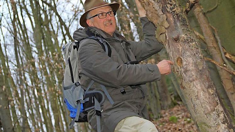In ehemaligen Spechthöhlen finden viele Vögel Brutplätze, wie Ulrich Völker anschaulich machte.  Foto: Gerda Völk