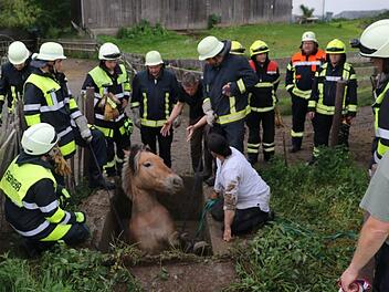 In Oberfranken ist ein Pferd in einen Schacht gerutscht: Bei dem Feuerwehreinsatz in Fechheim bei Neustadt bei Coburg war ein Bagger nötig, dass das Pferd gerettet werden konnte. Foto: Freiwillige Feuerwehr Neustadt bei Coburg