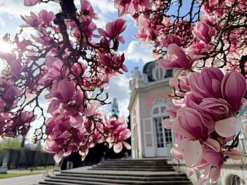 Erst Minusgrade, dann Fr&uuml;hlingswetter: So wird die kommende Woche in Franken