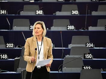 Plenarsitzung Europ&auml;isches Parlament