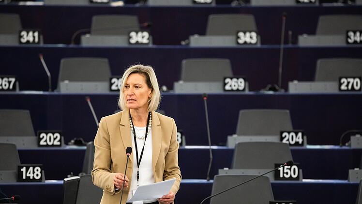 Plenarsitzung Europ&auml;isches Parlament