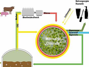 Grafik: Tanja Friedrich