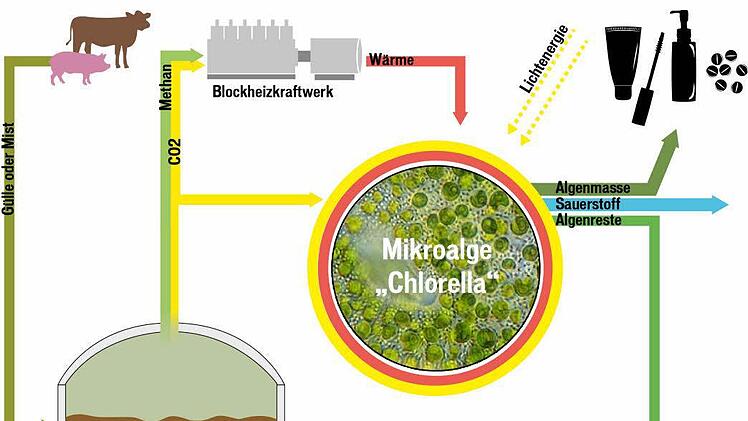Grafik: Tanja Friedrich