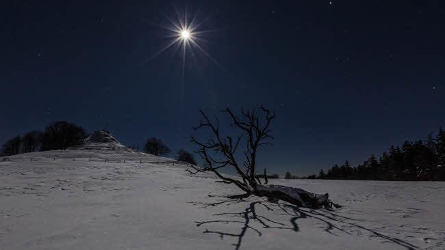 Der Wachtküppel in der hessischen Rhön in der "Sonne der Nacht" Foto: Sternenpark Rhön/Christian Krause