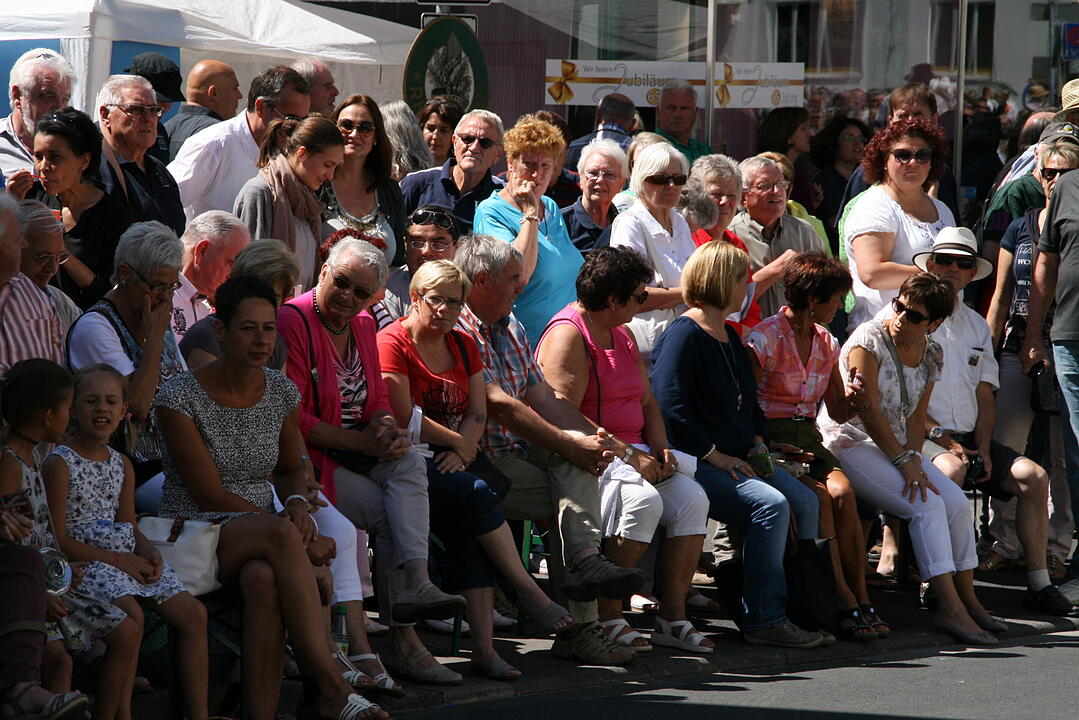 Rakoczy-Fest 2015 Bad Kissingen