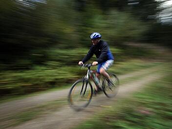 Ein Mountainbiker fährt durch einen Wald. Symbolfoto: Oliver Berg/dpa