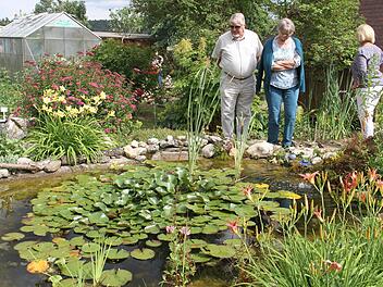 Ein Gartenteich mit blühenden Seerosen ist im Garten der Familie Tremel zu bestaunen.   Foto: Gerda Völk