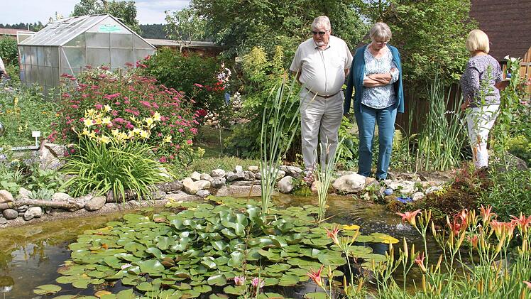 Ein Gartenteich mit blühenden Seerosen ist im Garten der Familie Tremel zu bestaunen.   Foto: Gerda Völk