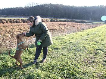 Hündin Raja ist sehr agil und freiheitsliebend, weshalb Katja Kinscher sie nicht einfach ohne Leine laufen lassen kann. Ein eingezäunter Hundeplatz anstelle des brach liegenden Weihers wäre ideal.  Fotos: Karina Brock