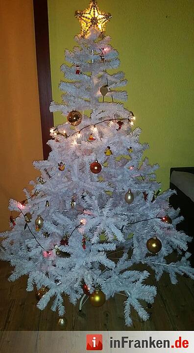 Weihnachten in Franken: Die Christbäume unserer Leser