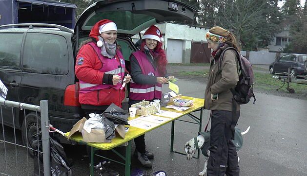 Hunde im Weihnachtskostüm: tierischer Weihnachtsmarkt in Haßfurt lockt hunderte Besucher