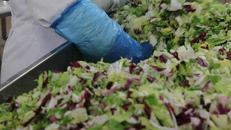 Hier entsteht eine bunte Salatmischung. Foto: Carmen Schmitt