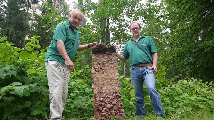 So schaut der Boden im Coburger Land aus - zumindest da, wo es Braunerde gibt. Dieses Bodenprofil hat Albert Schrenker (links) auf dem Dachboden des Coburger Forstbetriebes der Bayerischen Staatsforsten gefunden. Gemeinsam mit seinem Kollegen Bernd Lauterbach räumt Schrenker dem Schutz des Bodens hohe Priorität bei der täglichen Arbeit ein. Foto: Berthold Köhler