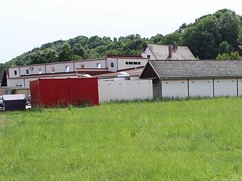 Auf dieser grünen Wiese soll der Erweiterungsbau der Firma Joerg (im Hintergrund) entstehen.  Foto: Friedwald Schedel