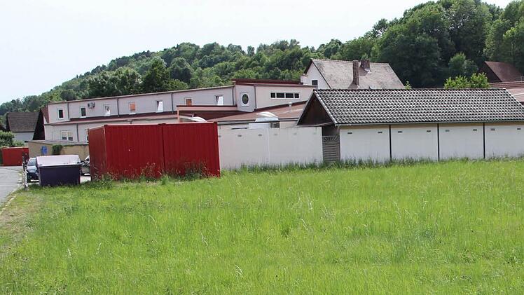 Auf dieser grünen Wiese soll der Erweiterungsbau der Firma Joerg (im Hintergrund) entstehen.  Foto: Friedwald Schedel