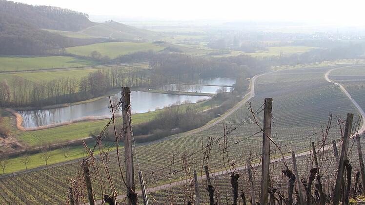 Blick von der Stollburg bei Handthal auf den Steigerwald