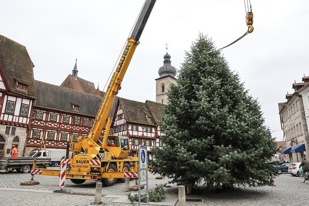 Christbaum kommt aus Schlaifhausen  auf den Forchheimer Rathausplatz