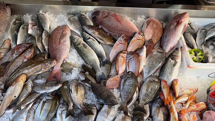 Frischer Fisch in Griechenland