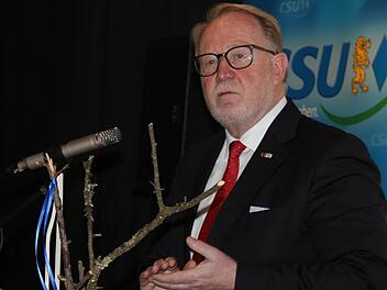 Hans Michelbach kämpft gegen eine Stromtrasse durch die Kreise Coburg und Kronach. Foto: Archiv/Veronika Schadeck