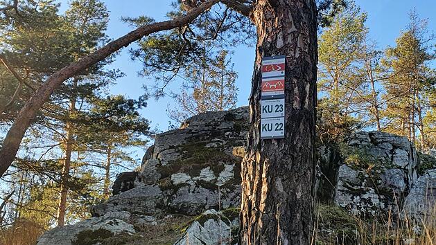 Am Peterlesstein zwischen Kupferberg und Marktleugast Foto: Christine Fischer