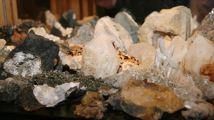 Ammoniten und Mineralien in allen Größen und Formen hat Karl-Heinz Friedrich schon zusammengesammelt.