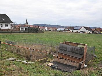 In diesem Bereich will der österreichische Investor sein Bau-Projekt umsetzen. Foto: Ronald Rinklef