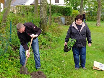 Walter Welsch und Silvia Jäger pflanzten den Hollerstrauch auf dem Vorbacher Spielplatz ein. Dabei beobachteten natürlich alle, ob sie es denn auch richtig machen. Foto: privat